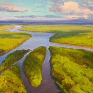 Rio Parnaíba  20x30cm